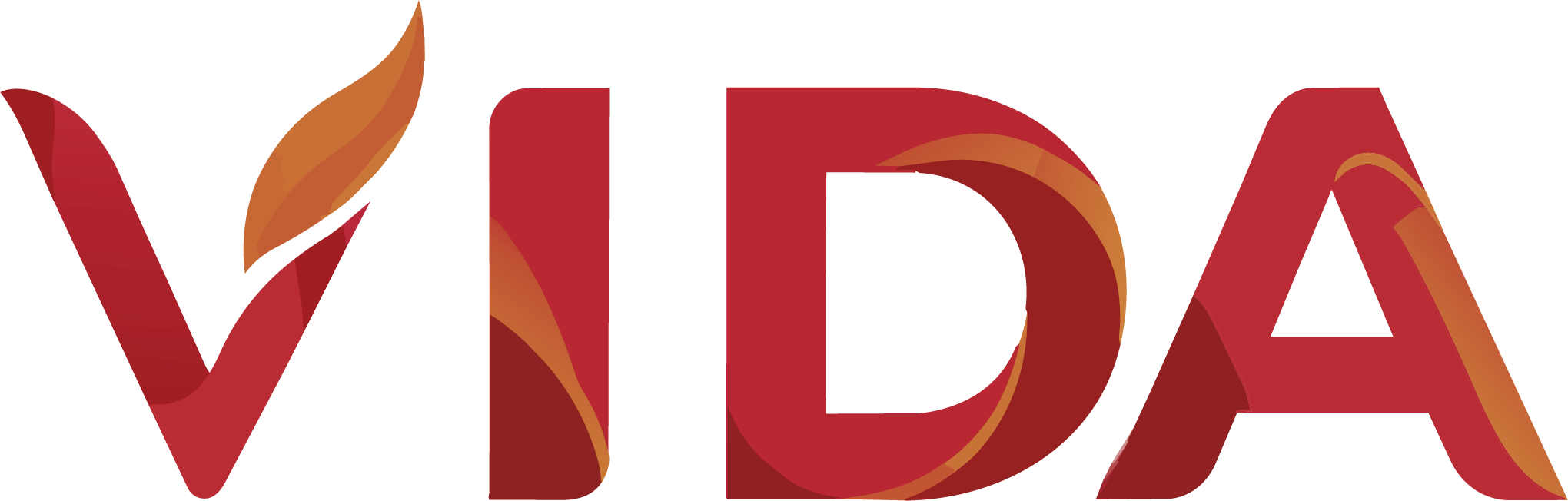 Iglesia VIDA